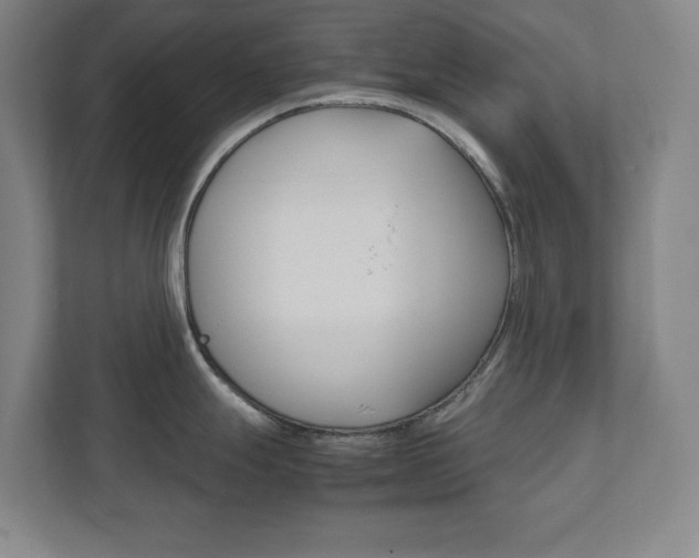 X0000111851247200907231053