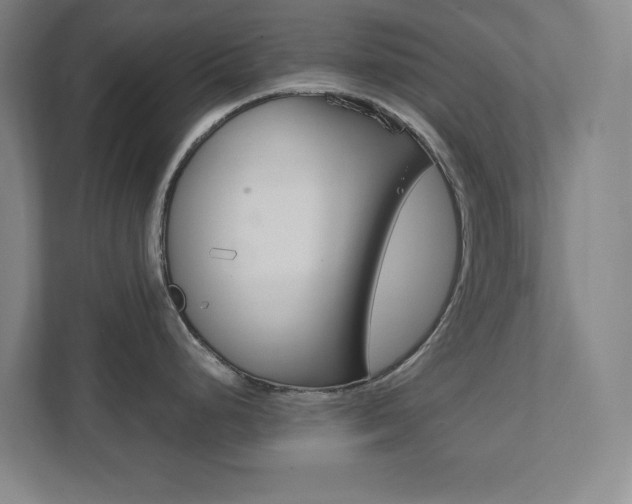 X0000111851248200907231053