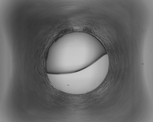 X0000111851249200907231052