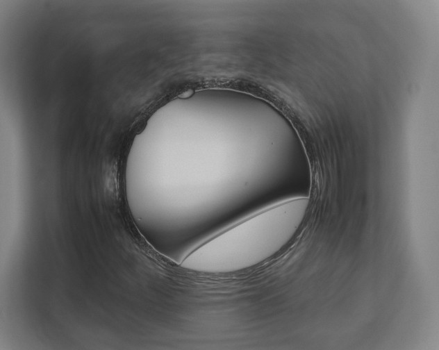 X0000111851252200907231052