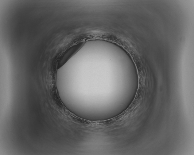 X0000111851253200907231052