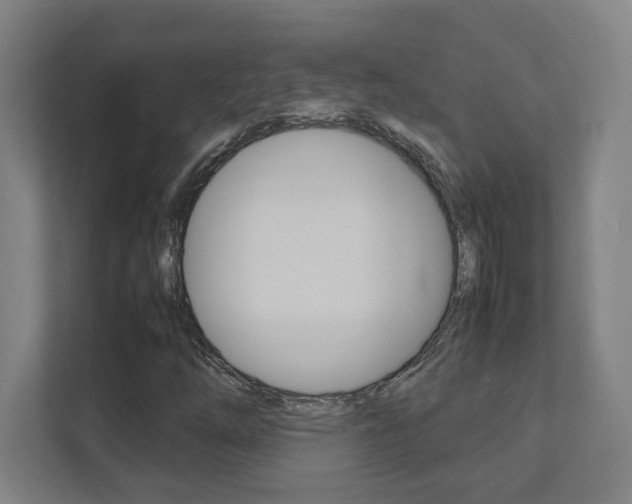 X0000111851254200907231052
