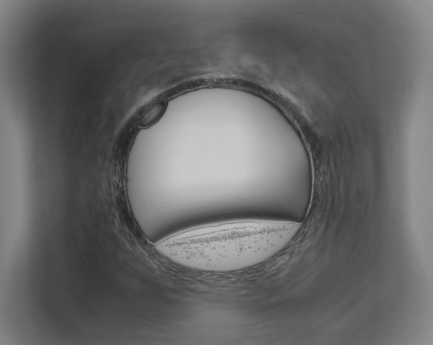 X0000111851255200907231052