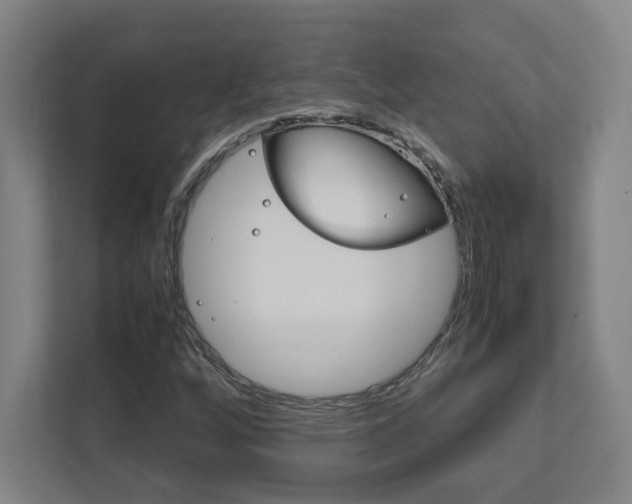 X0000111851256200907231052