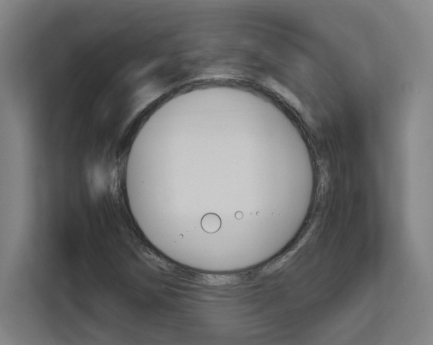 X0000111851258200907231052