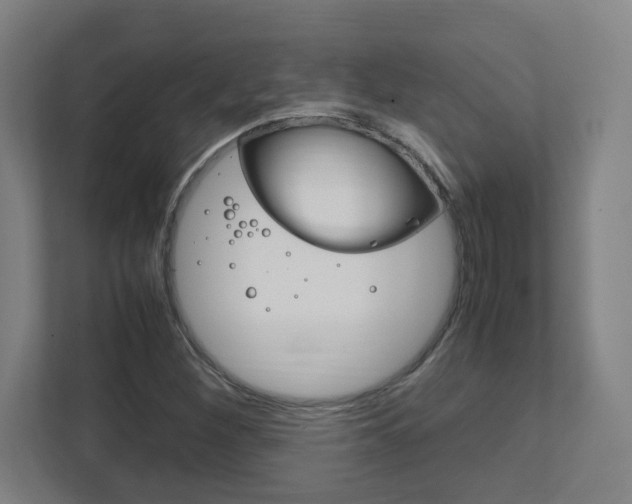 X0000111851260200907231052
