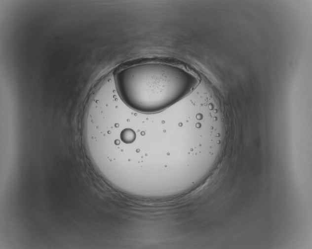 X0000111851261200907231052