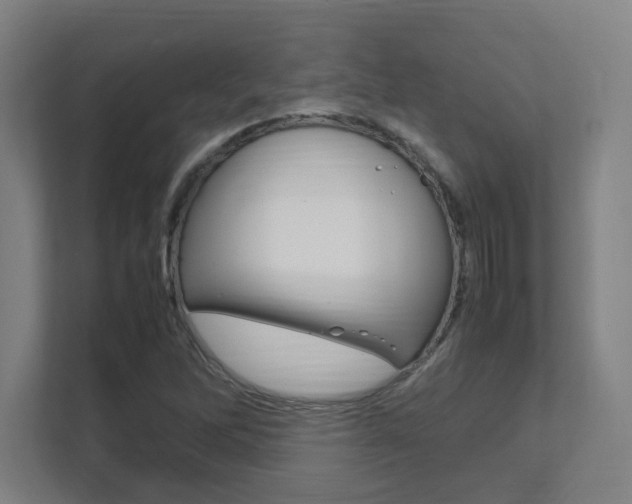 X0000111851262200907231052