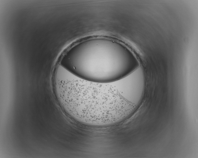 X0000111851264200907231052