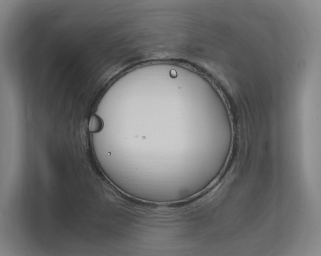 X0000111851265200907231052