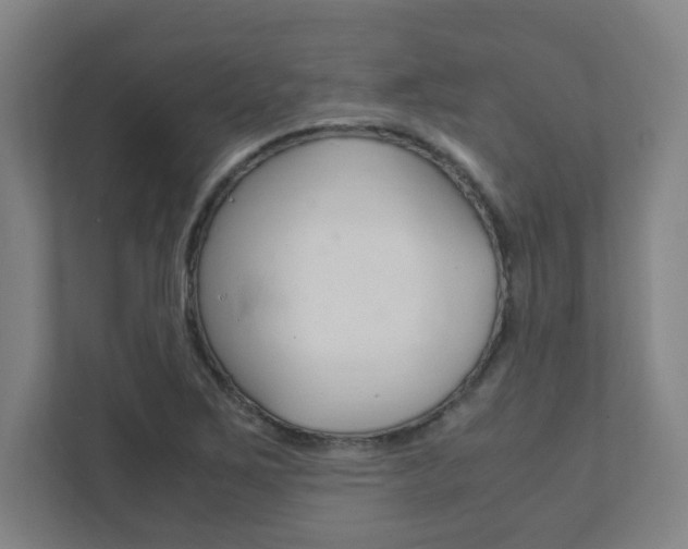 X0000111851267200907231052
