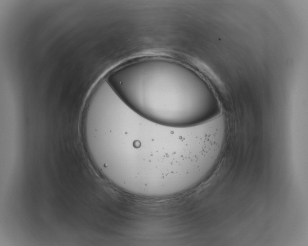 X0000111851268200907231052
