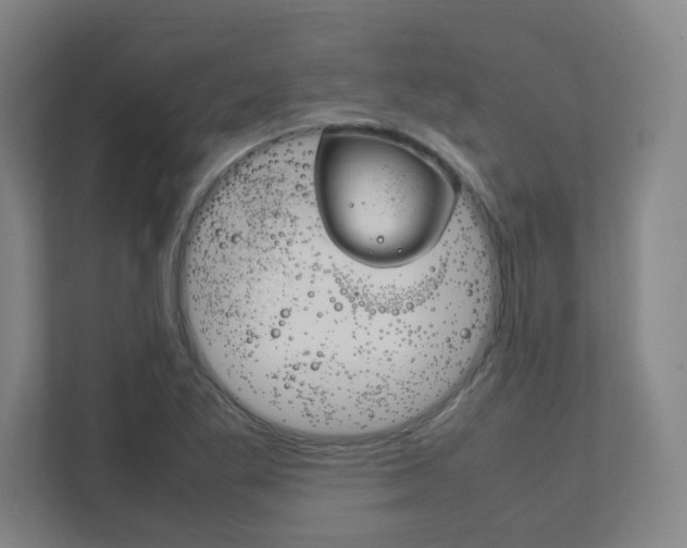 X0000111851269200907231052