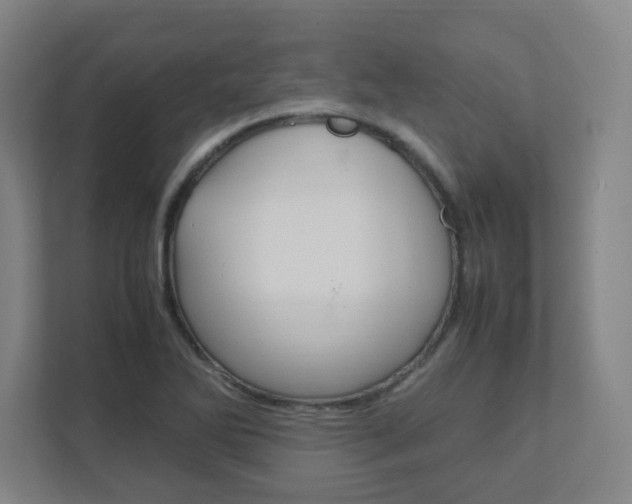 X0000111851270200907231052