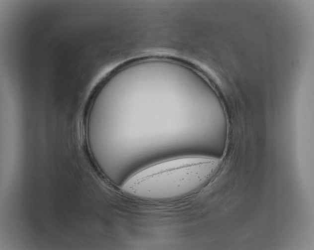 X0000111851271200907231052