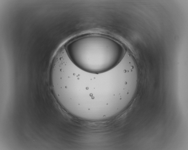 X0000111851272200907231052