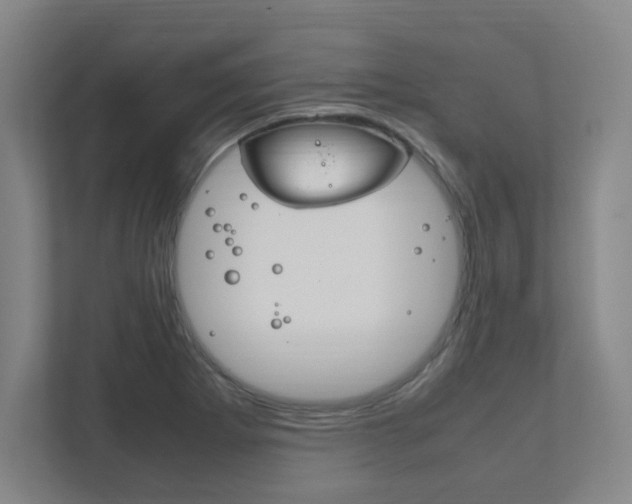 X0000111851273200907231052