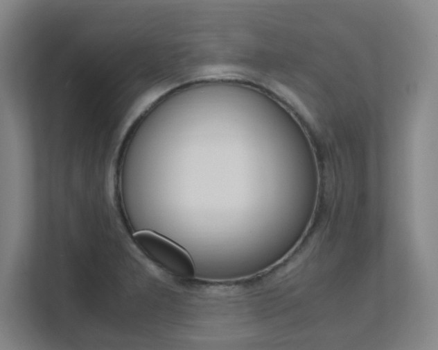 X0000111851277200907231052