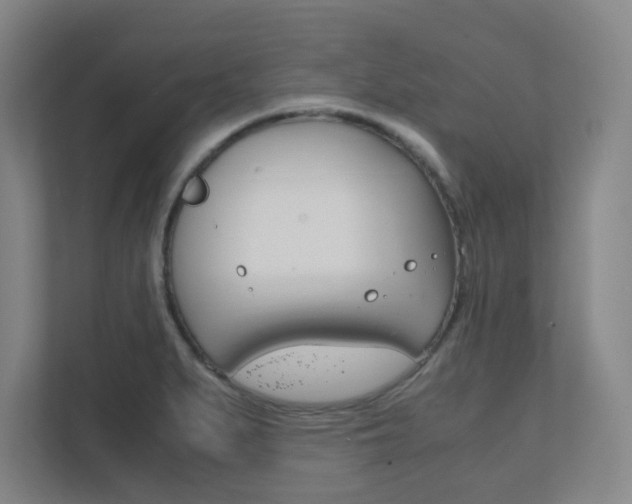 X0000111851279200907231052