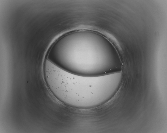 X0000111851280200907231052