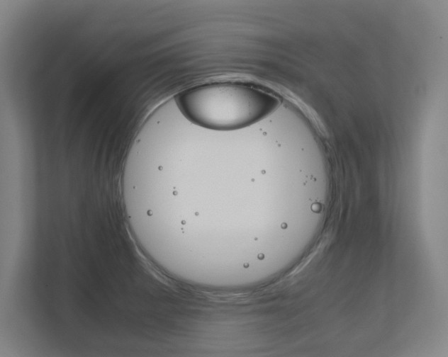 X0000111851281200907231052
