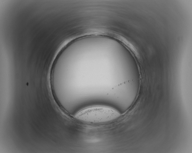 X0000111851283200907231052