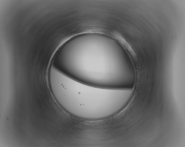 X0000111851284200907231052