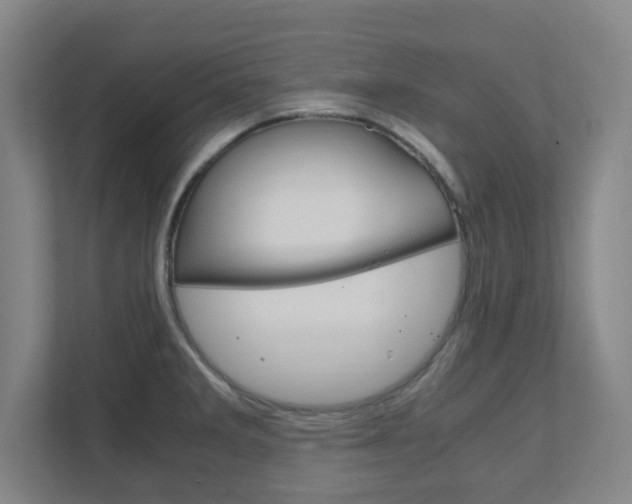 X0000111851285200907231052