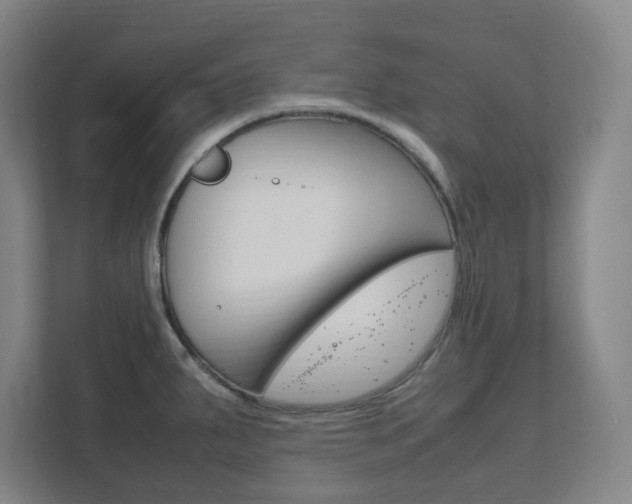 X0000111851287200907231052