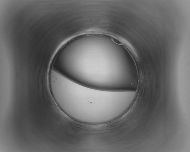 X0000111851288200907231052