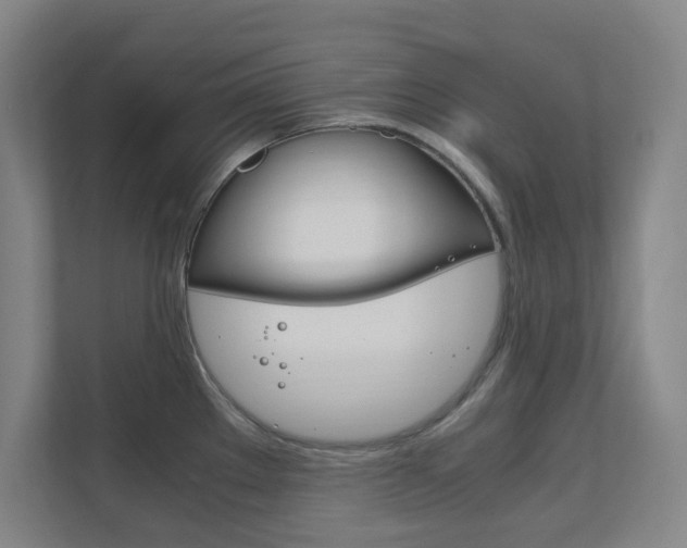X0000111851289200907231052