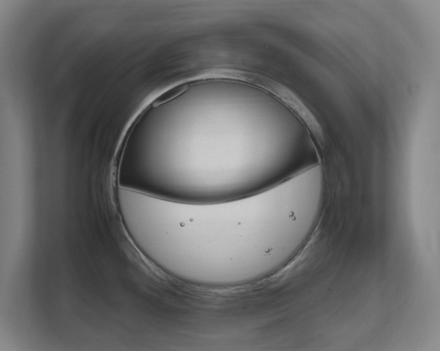X0000111851292200907231052