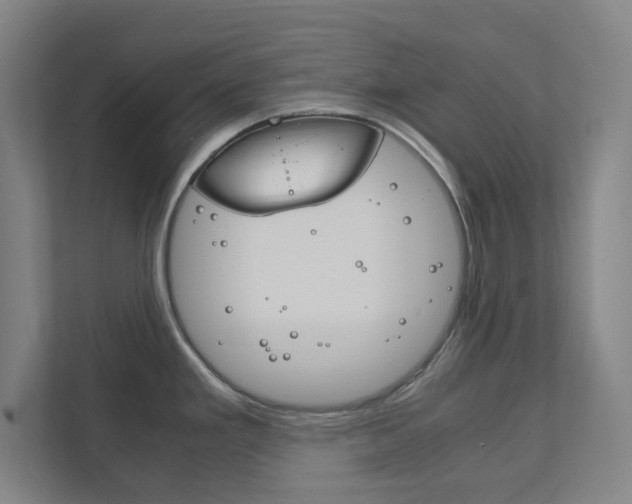 X0000111851293200907231052