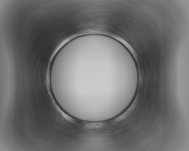 X0000111851294200907231052