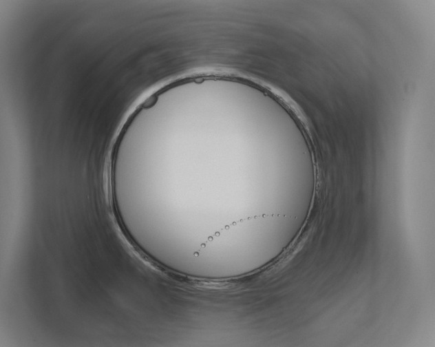 X0000111851295200907231052