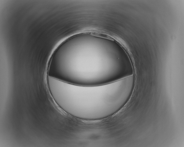 X0000111851296200907231052