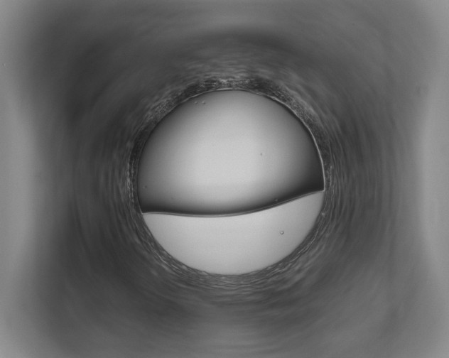 X0000111851298200907231051