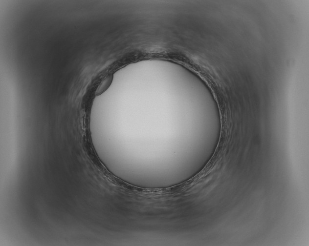 X0000111851301200907231051