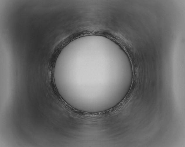 X0000111851302200907231051