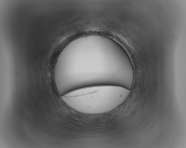 X0000111851303200907231051