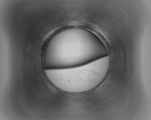 X0000111851304200907231051