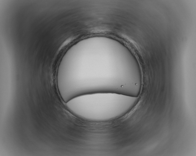X0000111851306200907231051
