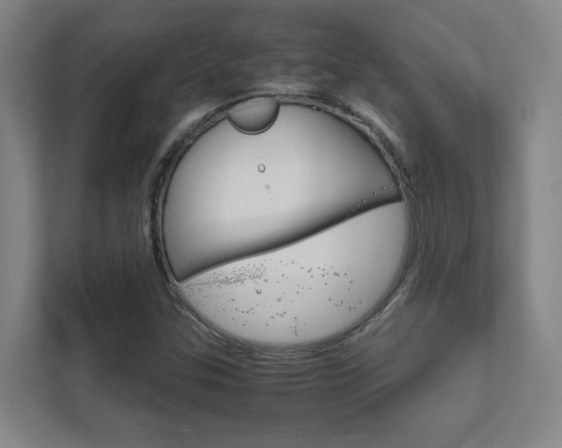 X0000111851307200907231051