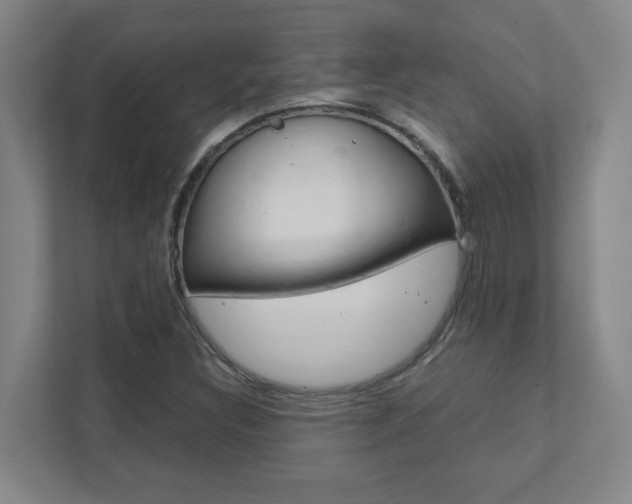 X0000111851308200907231051