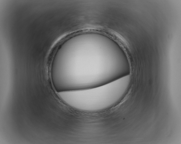 X0000111851310200907231051