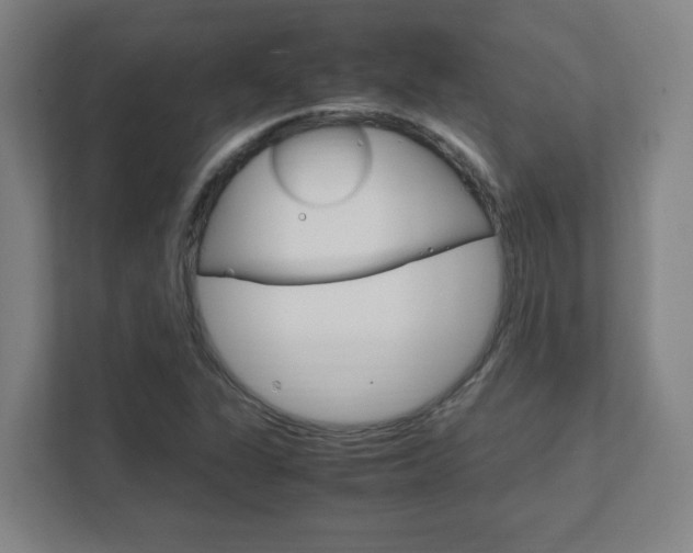 X0000111851311200907231051