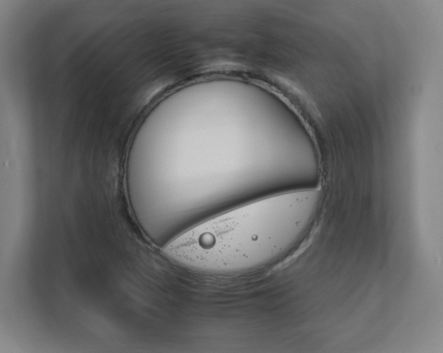 X0000111851313200907231051