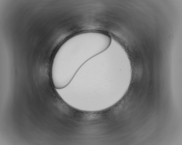 X0000111851314200907231051
