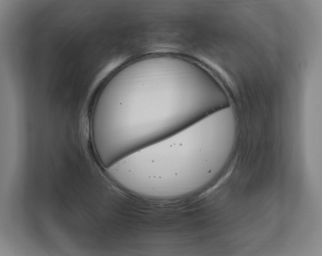 X0000111851317200907231051