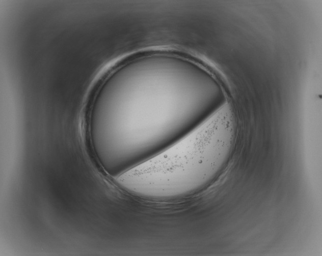 X0000111851319200907231051